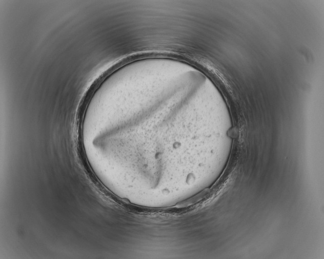 X0000113101077200909251026