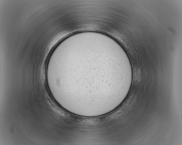 X0000113101078200909251026