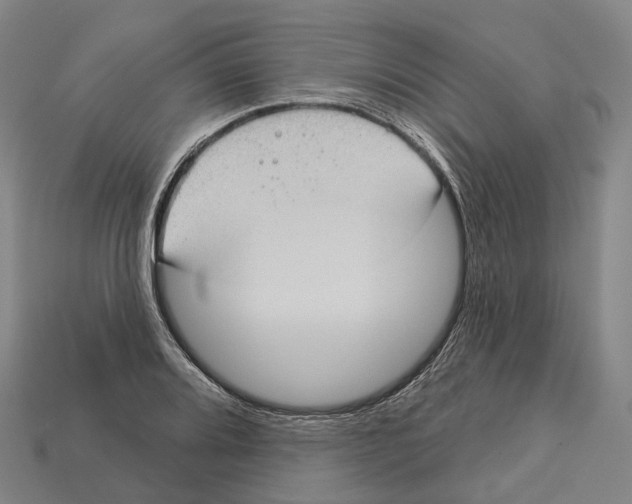 X0000113101080200909251026