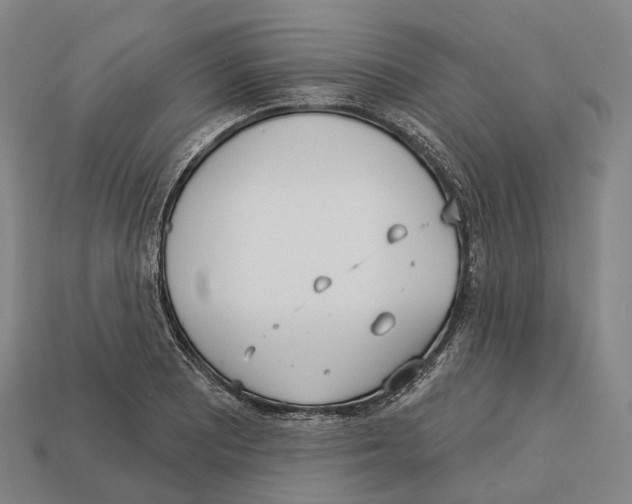 X0000113101081200909251026