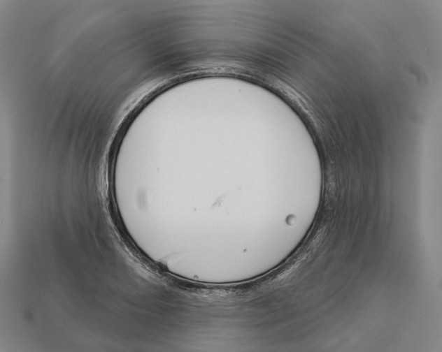 X0000113101082200909251026