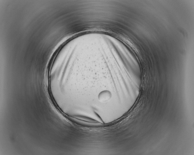 X0000113101084200909251026