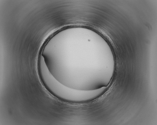 X0000113101085200909251026