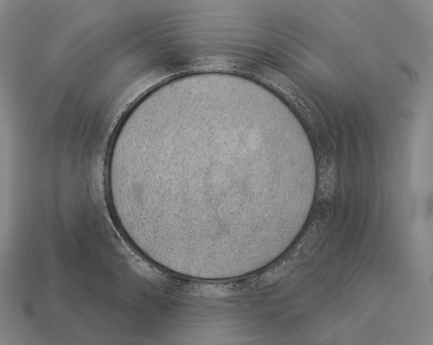 X0000113101086200909251026