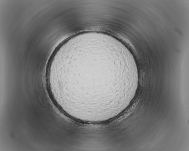 X0000113101087200909251026