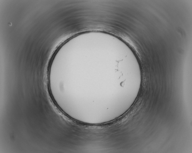 X0000113101088200909251026