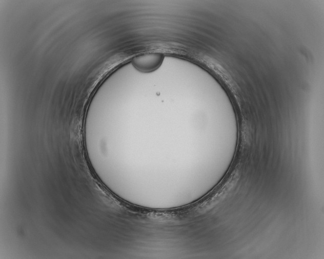 X0000113101089200909251026