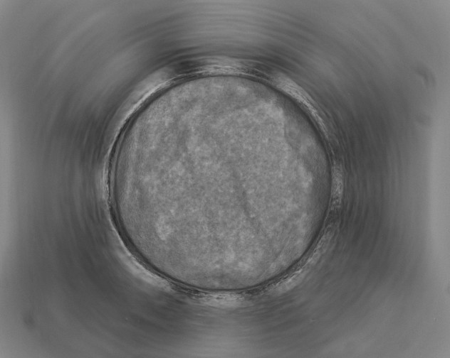 X0000113101090200909251026