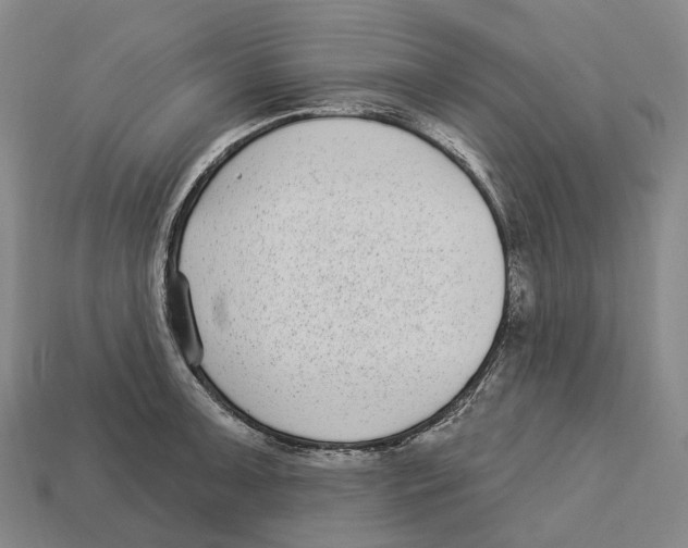 X0000113101091200909251026