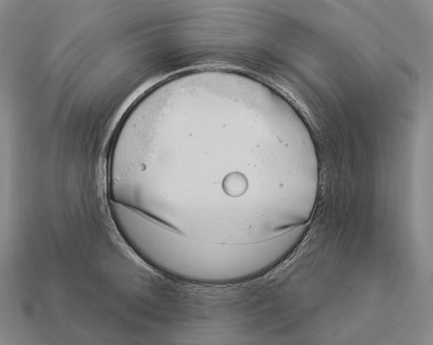 X0000113101092200909251026