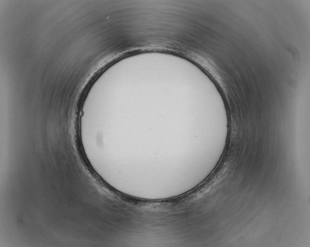 X0000113101093200909251026