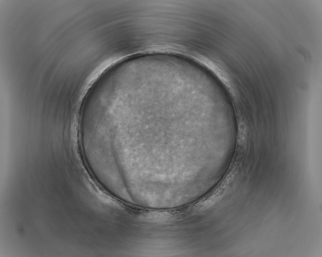 X0000113101094200909251026