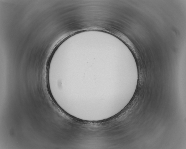 X0000113101096200909251026