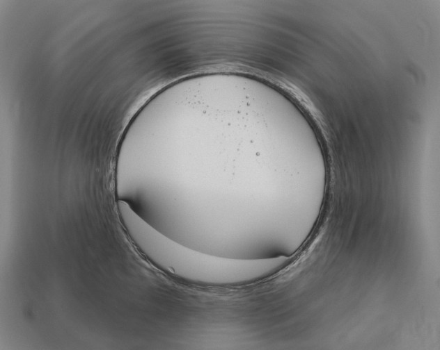 X0000113101097200909251026