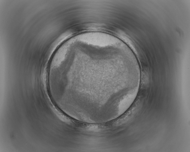 X0000113101098200909251026