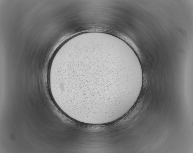 X0000113101099200909251026