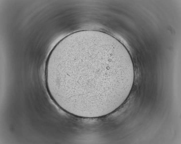 X0000113101103200909251026