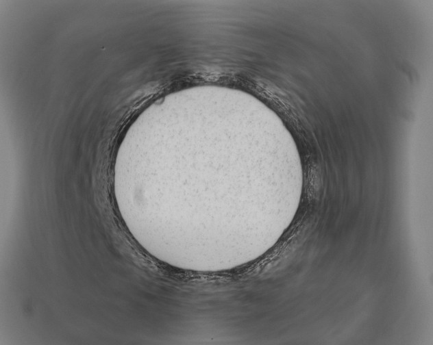 X0000113101105200909251025