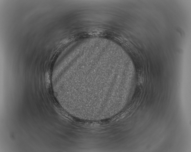 X0000113101106200909251025