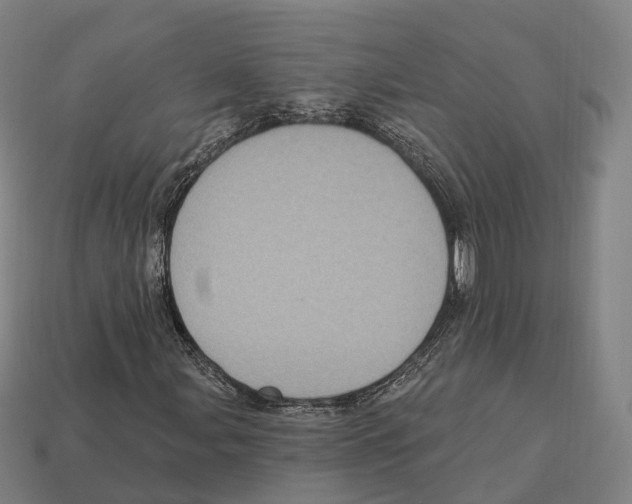 X0000113101107200909251025