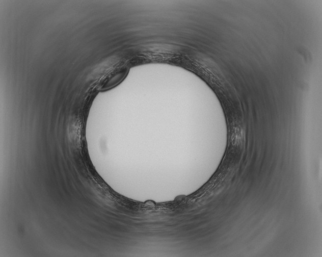 X0000113101108200909251025