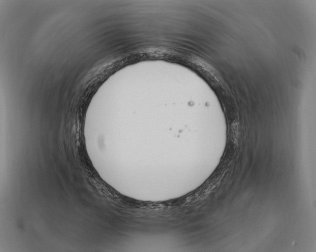 X0000113101111200909251025