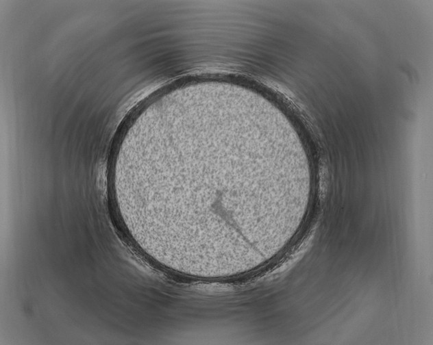 X0000113101113200909251025