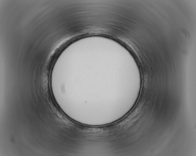 X0000113101115200909251025