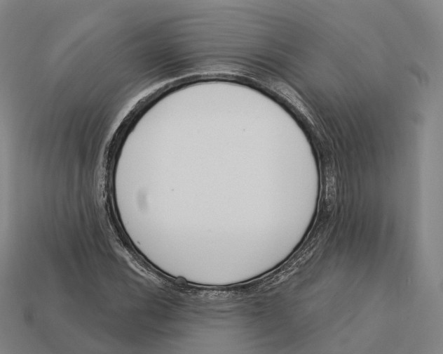 X0000113101116200909251026