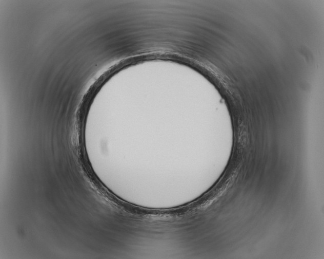 X0000113101118200909251026