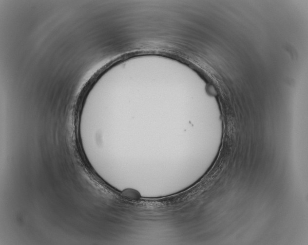 X0000113101120200909251026