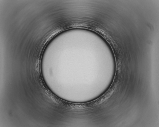 X0000113101121200909251026