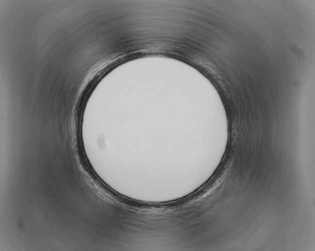 X0000113101122200909251026