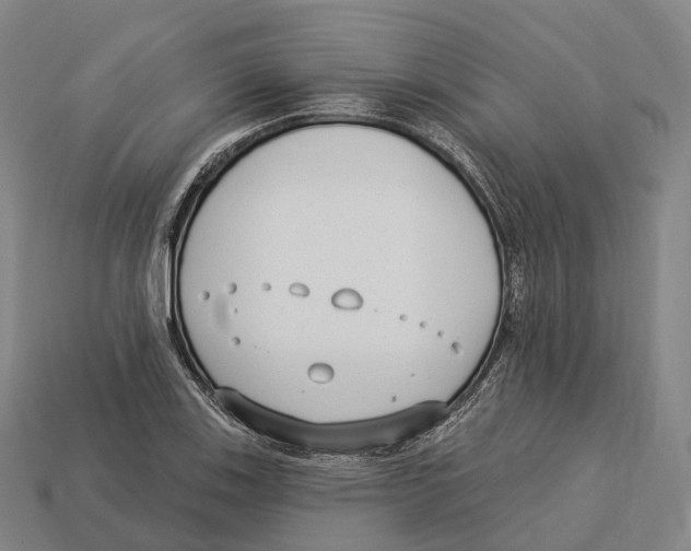 X0000113101123200909251026