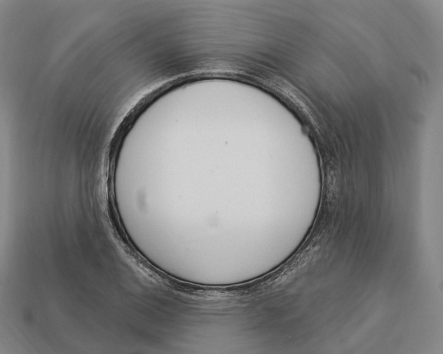 X0000113101124200909251026