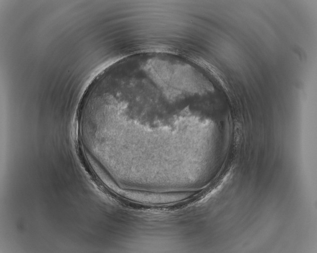 X0000113101125200909251026