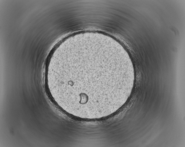 X0000113101126200909251026