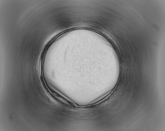 X0000113101127200909251026