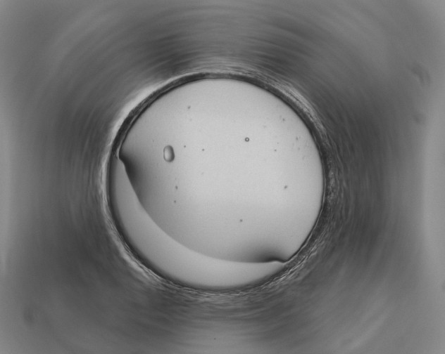 X0000113101128200909251026