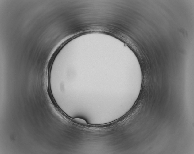 X0000113101132200909251026