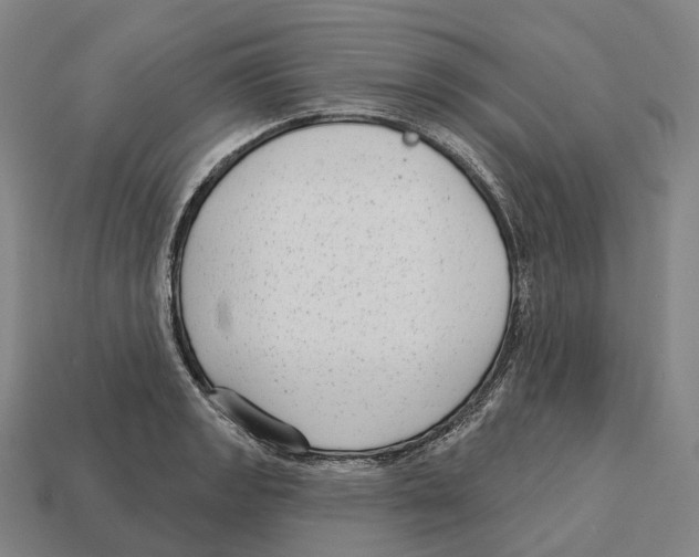 X0000113101133200909251026