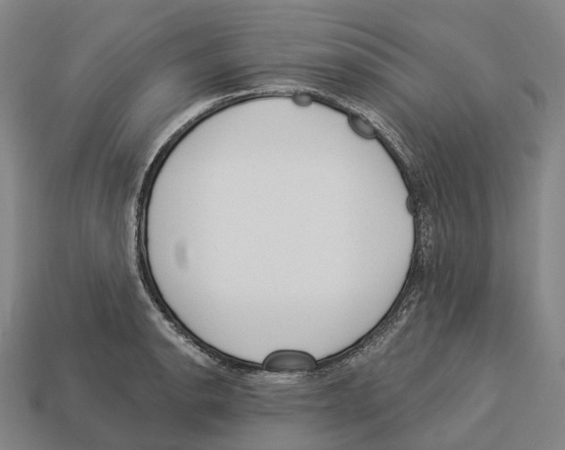 X0000113101134200909251026