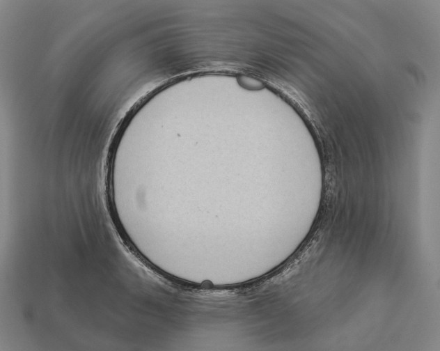 X0000113101135200909251026