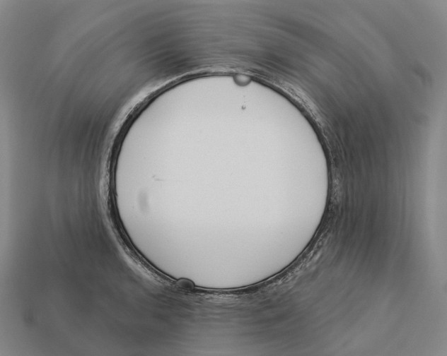 X0000113101136200909251026
