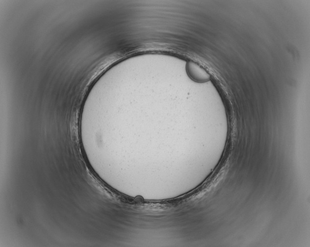 X0000113101137200909251026