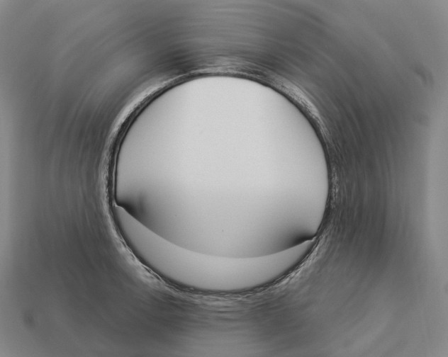 X0000113101138200909251026