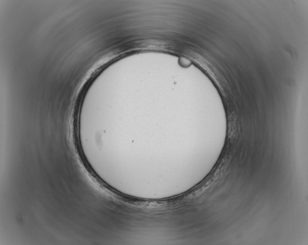 X0000113101139200909251026