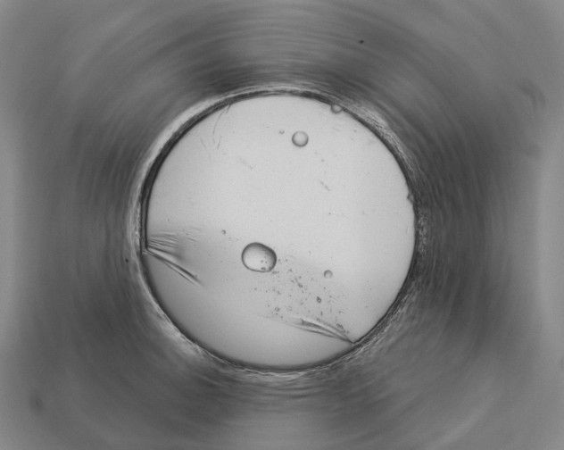 X0000113101140200909251026