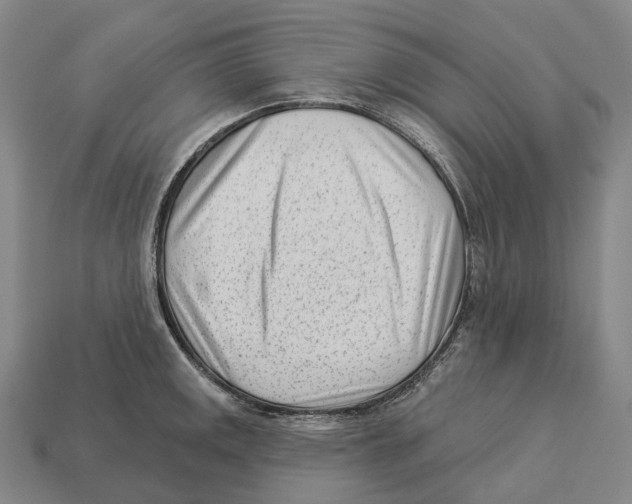 X0000113101141200909251026