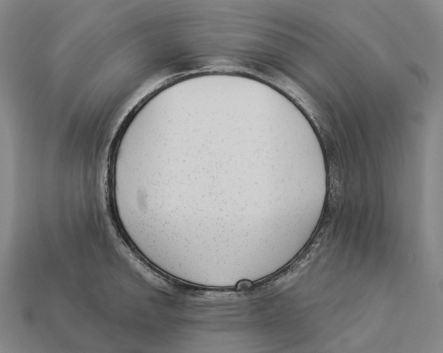 X0000113101142200909251026
